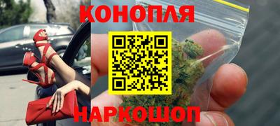 СК Тара