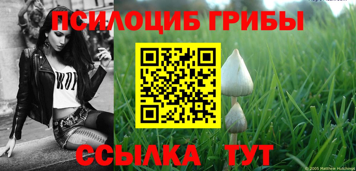 Галлюциногенные грибы ЛСД  Вход с VPN  цена наркотик  Ноябрьск 